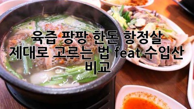🤩 육즙 팡팡! 한돈 항정살, 제대로 고르는 법! (feat. 수입산 비교) 🥩