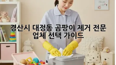 경산시 대정동 곰팡이 제거 전문 업체 선택 가이드