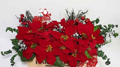 놓치면 후회!🎄프리저브드크리스마스 특가 득템 후기🎁